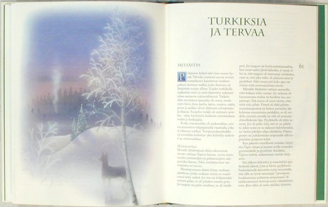 魔法の森フィンランドの森にまつわる寓話と魔法 Taikametsa